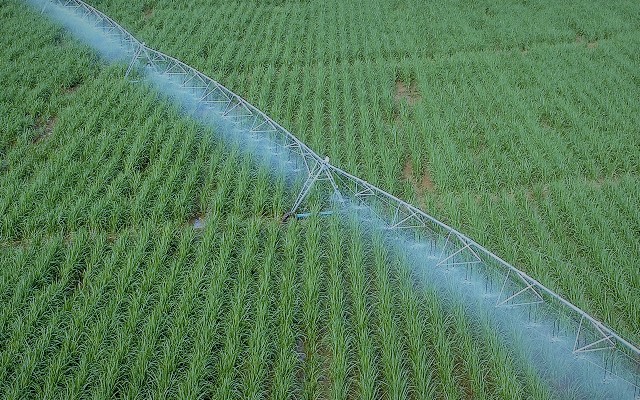 Read more about the article Investimentos do Plano Agrícola e Pecuário têm crédito adicional de R$ 791 milhões