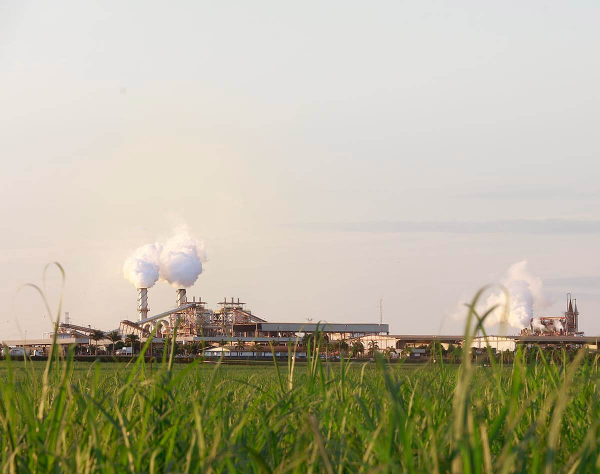 Read more about the article BNDES apoiará ampliação de geração de energia renovável pelo grupo São Martinho
